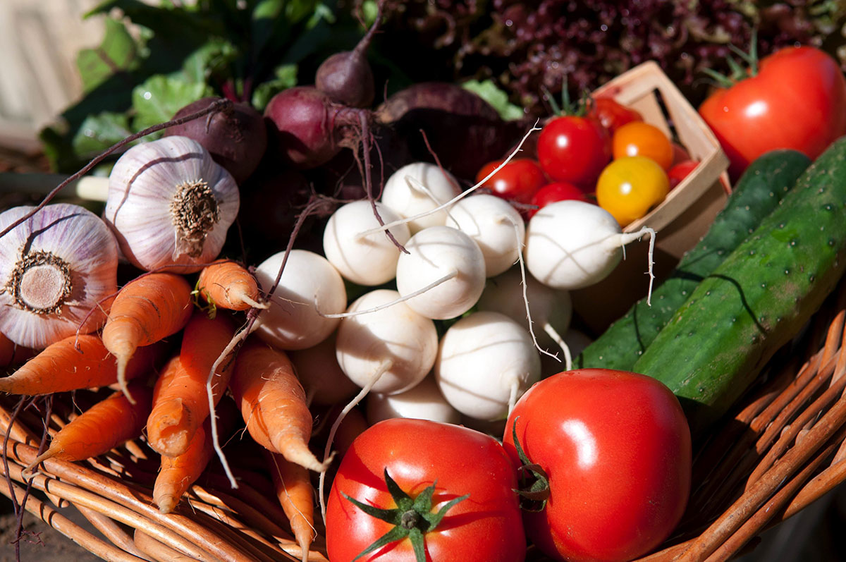ferme-petits-oignons-panier