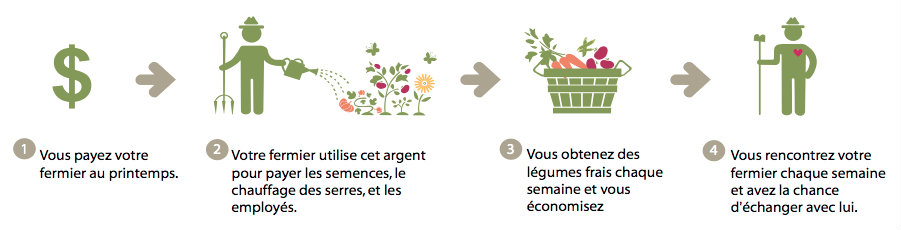 Ferme-petits-oignons-suite-narrative-soft